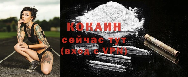 прущий лед Арсеньев