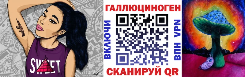 Псилоцибиновые грибы Psilocybine cubensis  Холм 